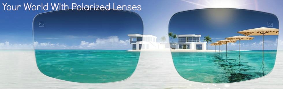 Polarized best sale lenses cost